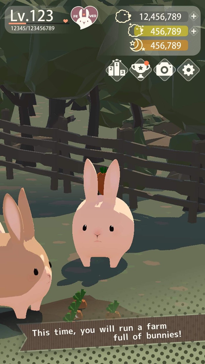 Bunny More Cuteness Overload