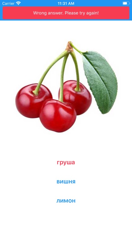 Russian For Beginner screenshot-4