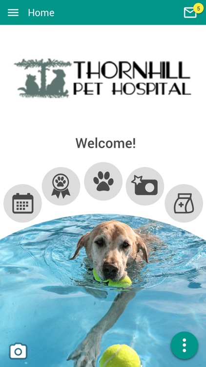 Thornhill Pet Hospital