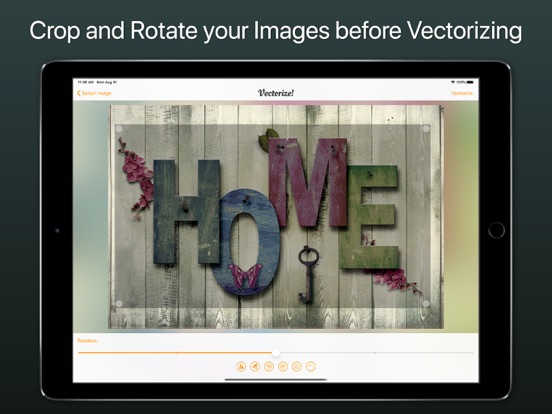Vectorize! Ipad images
