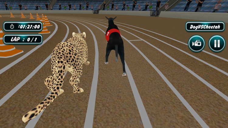 Dog Racing screenshot-4