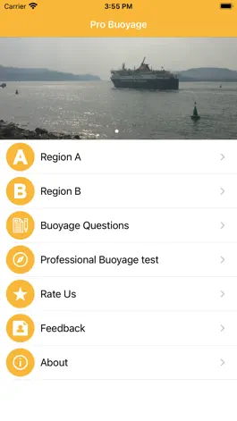 Game screenshot Pro Buoyage mod apk