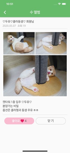 24시 수 동물병원(圖6)-速報App