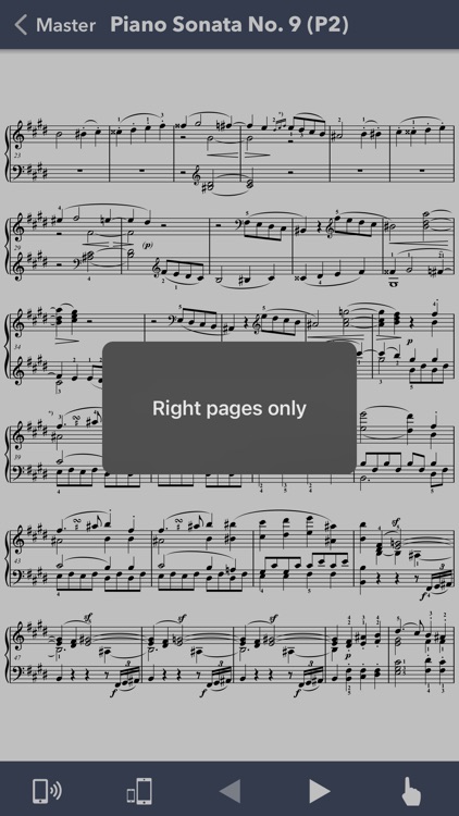 Beethoven: Piano Sonatas II screenshot-4