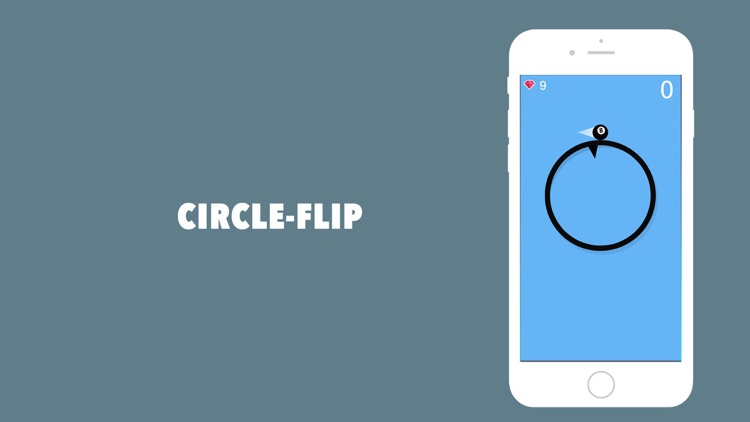 Circle-flip