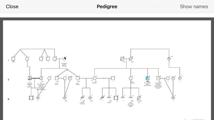 f-tree screenshot-3