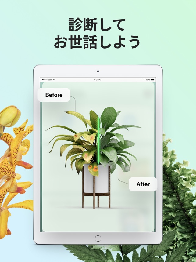 Picturethis 撮ったら 判る 1秒植物図鑑 をapp Storeで