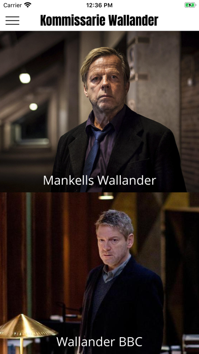 Wallander screenshot 3