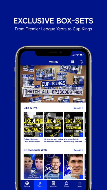 Chelsea FC - The 5th Stand screenshot-3