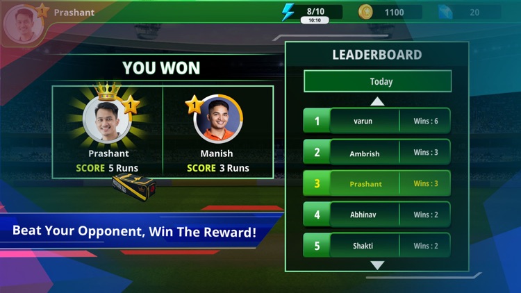 Cricket King screenshot-6