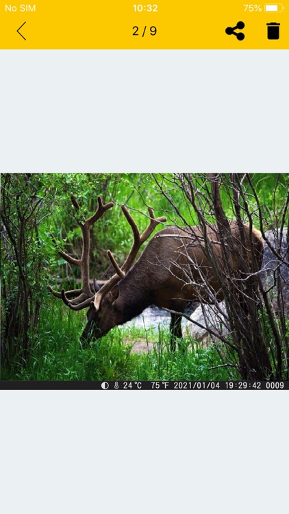 Trail Cam Pro screenshot-4