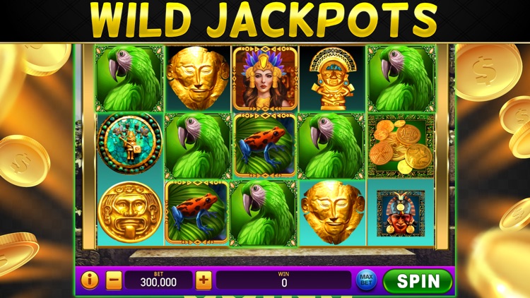 Slots Royal Double Win