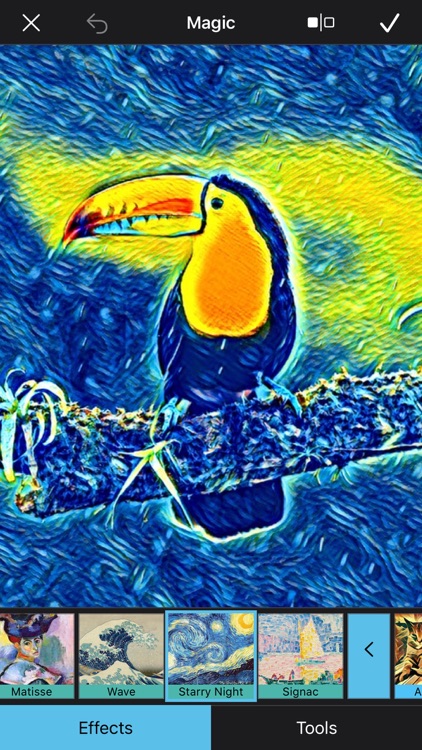 BeCasso: Photo to Painting App screenshot-5