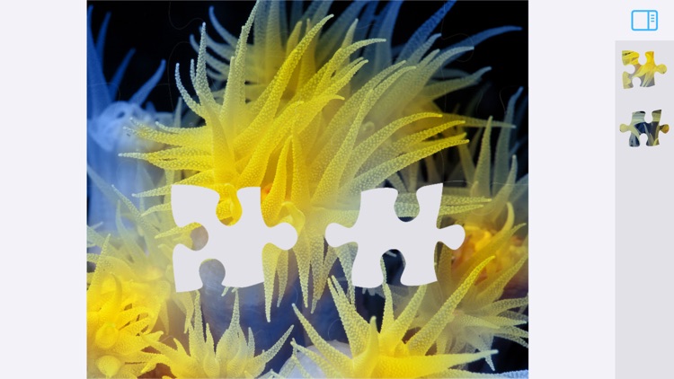 Jigsaw Puzzles Underwater