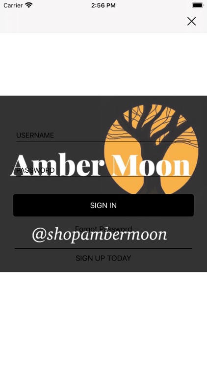 Amber Moon Boutique screenshot-5