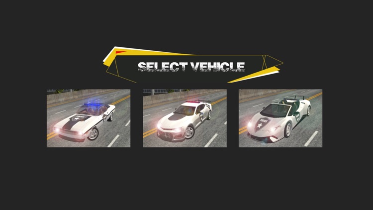 Police Car Thief Chase City in