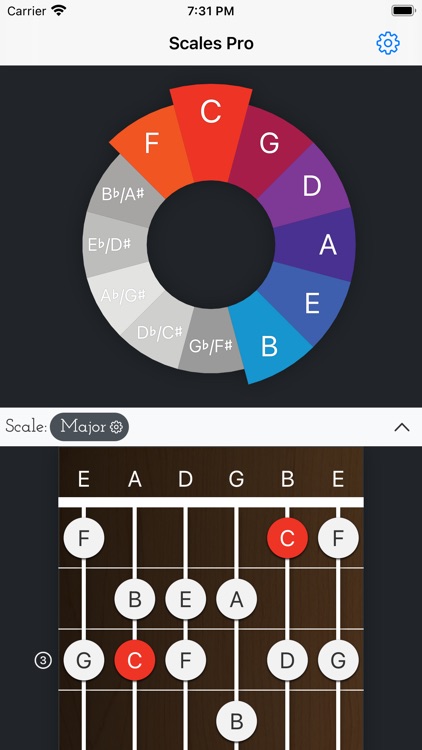 Scales Pro - Chords & Scales screenshot-0