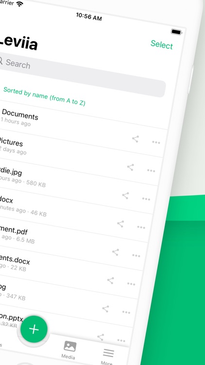 Leviia – Cloud Storage