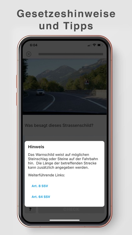 Theorieprüfung Auto Schweiz screenshot-7