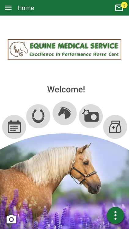 Equine Medical Services