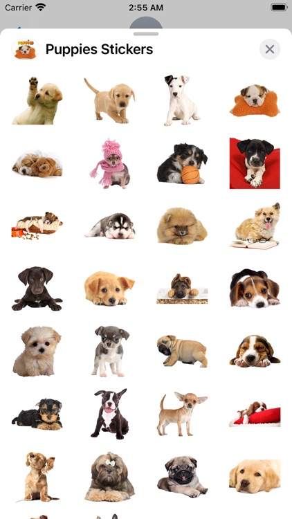 Puppies Stickers