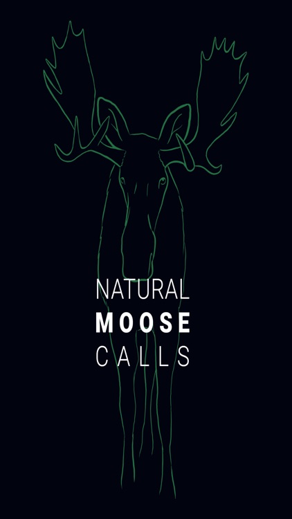 Natural Moose Calls