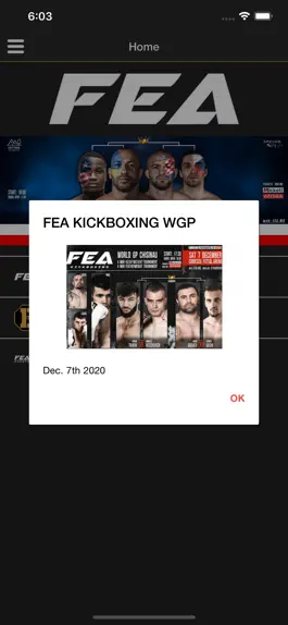 Game screenshot Fighting Entertainment As. mod apk