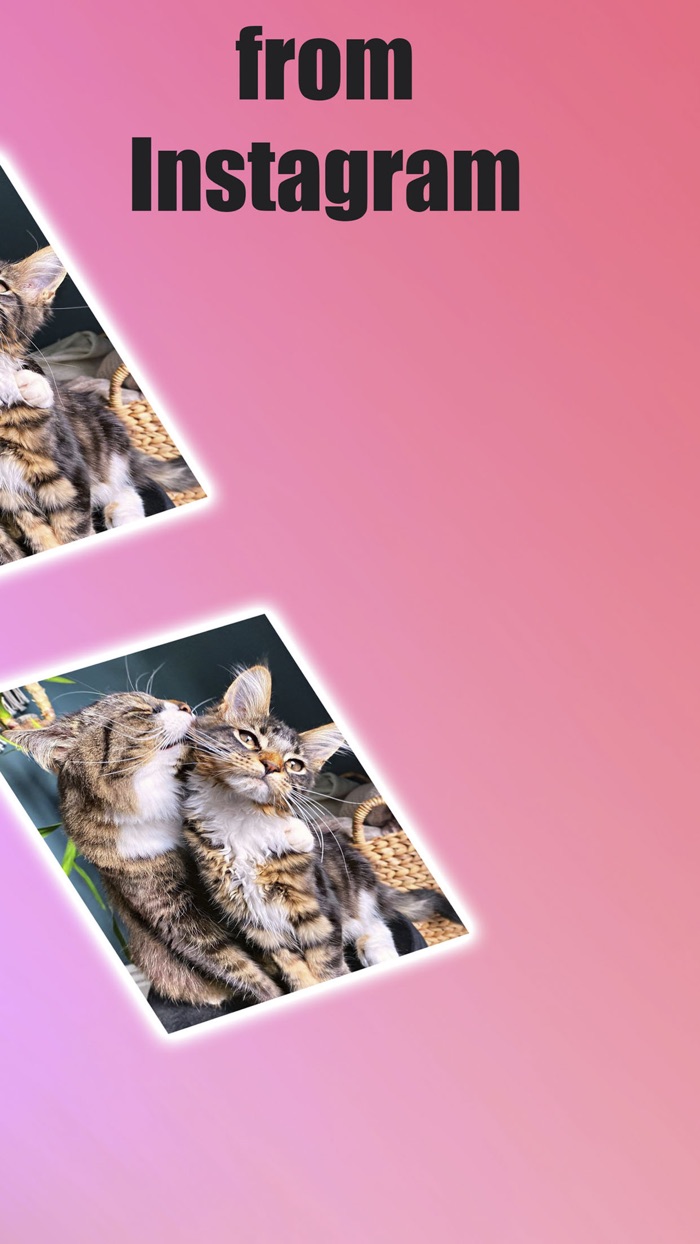 Media saver for Instagram