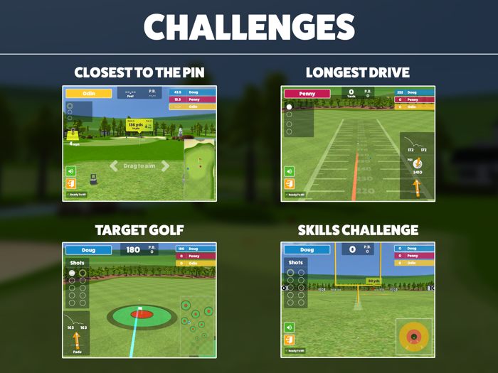 Awesome Golf Suite Range