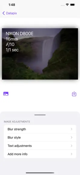 Game screenshot Datapix apk