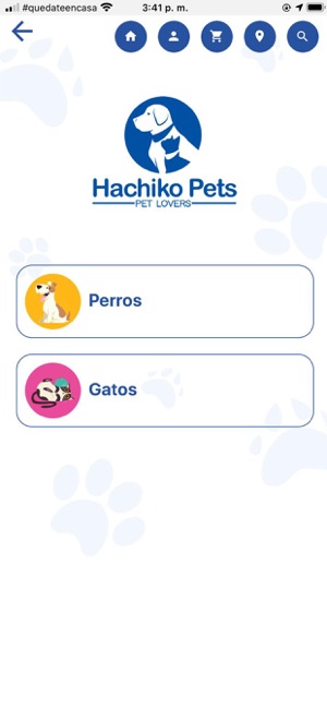 Hachiko Pets(圖5)-速報App