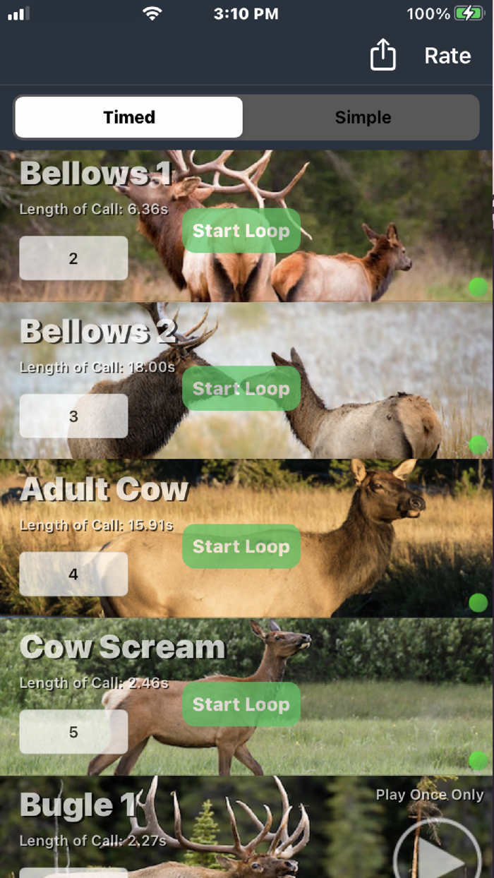 Elk Hunting Calls for Hunters