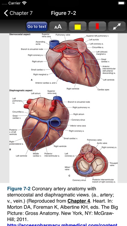 Pharmacotherapy Principles 5/E screenshot-6