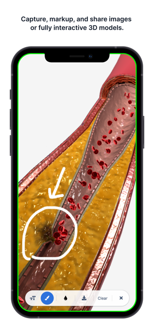 ‎BioDigital Human - 3D Anatomy Screenshot