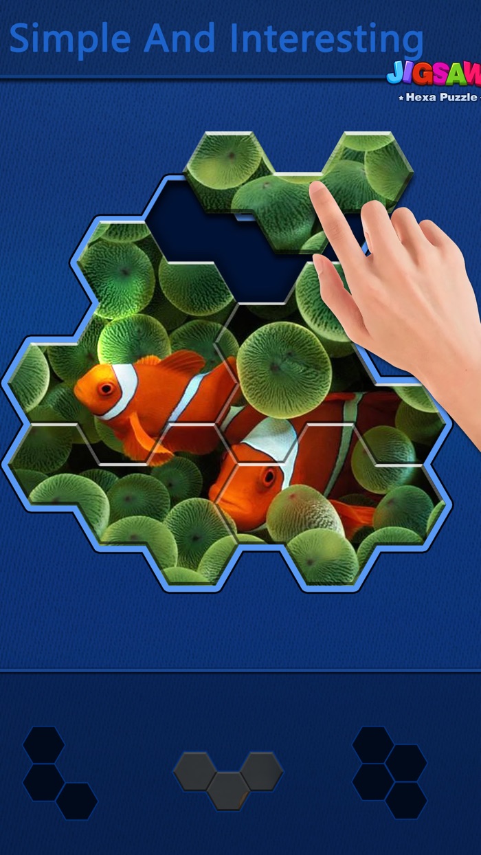 Block Hexa Jigsaw Puzzle