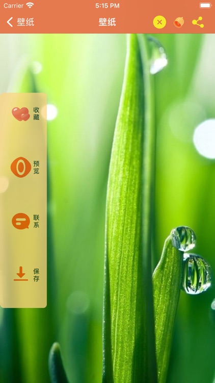 壁纸-壁纸大全100+ screenshot-5