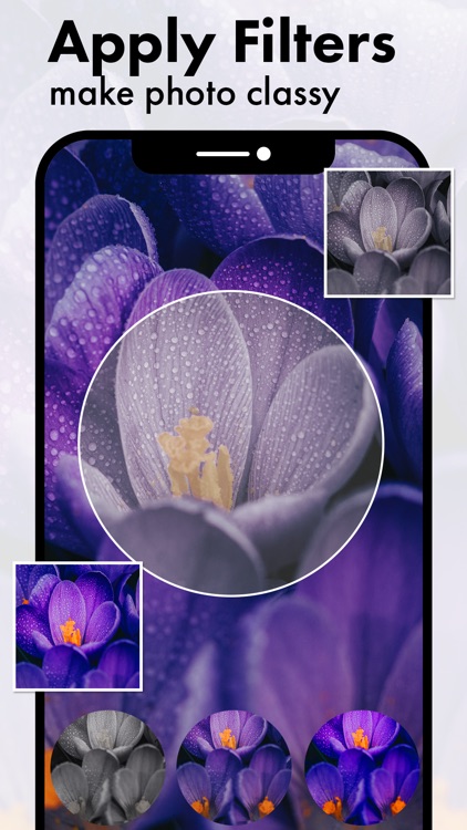 Purple Flower Photo Frames screenshot-3