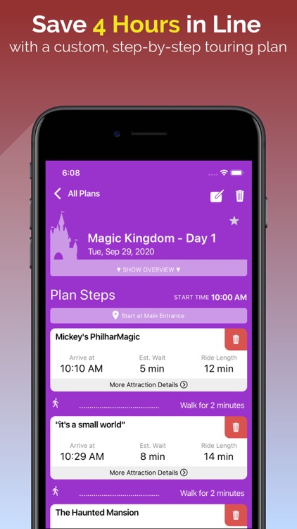 Disney World Lines (TP)