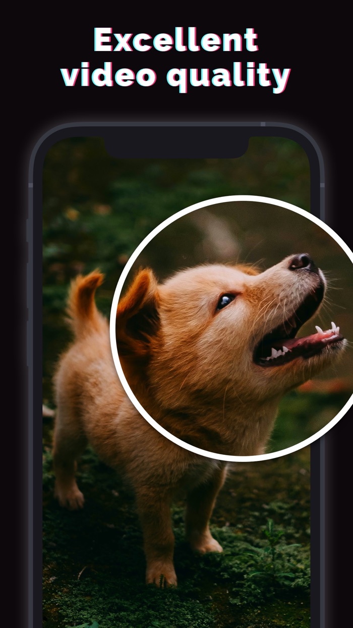 TIK.TOK.SAVER - no watermarks