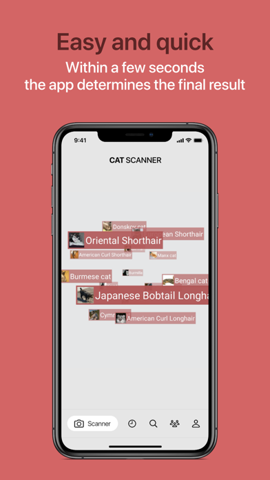 Cat Scanner screenshot 3