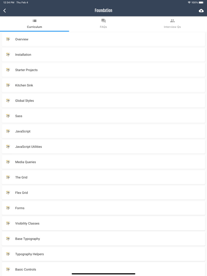 Learn CSS Programming PRO