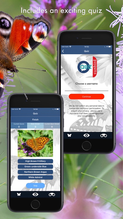 Butterfly Id - UK Field Guide screenshot-9