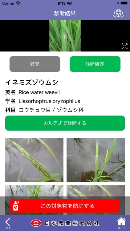 レイミーのAI病害虫雑草診断 screenshot-7