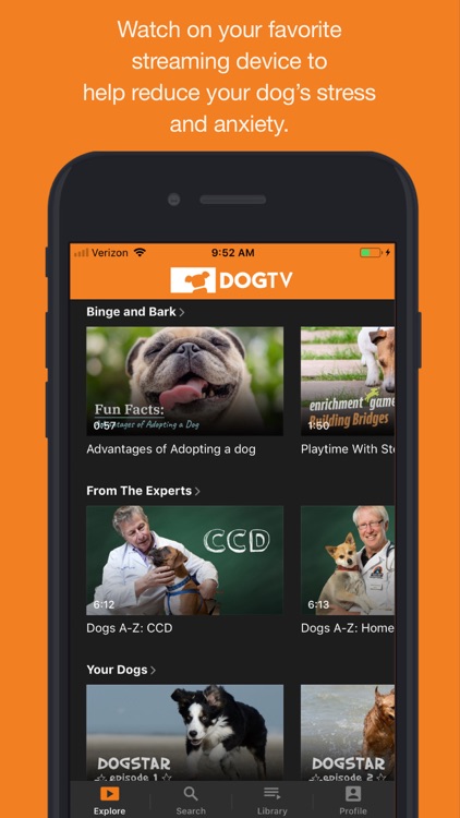 dog tv app
