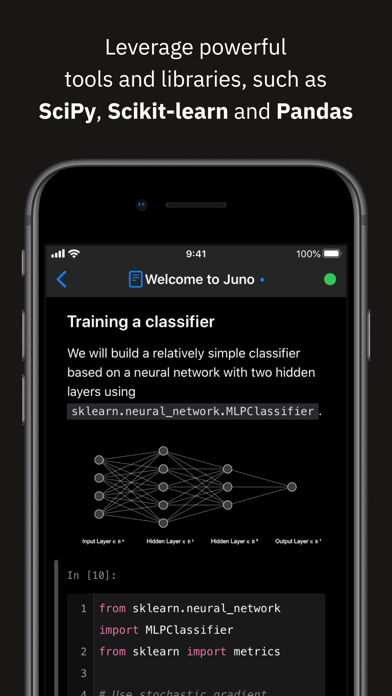 Juno: Jupyter/Python IDE screenshot 2