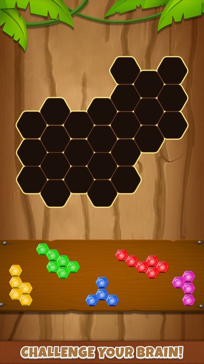 Hexa puzzle : Block blast