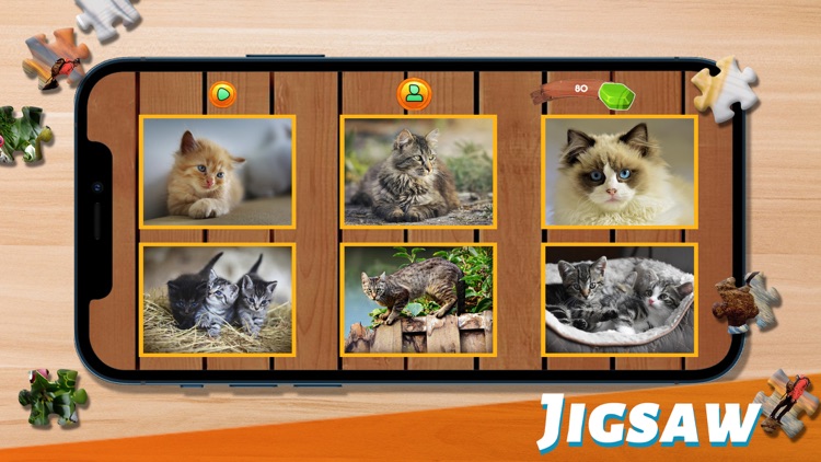 Jigsaw Puzzles Classic Game screenshot-3