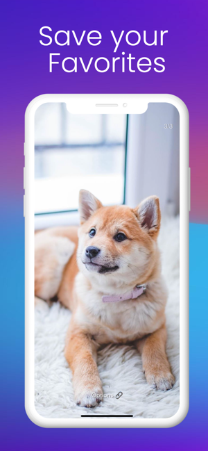 InSaver for Instagram(圖2)-速報App