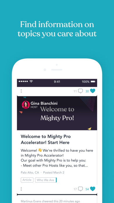 Mighty Pro screenshot 2