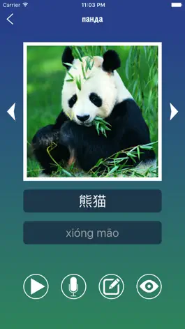 Game screenshot Китайский Слово Флэшкарточки hack